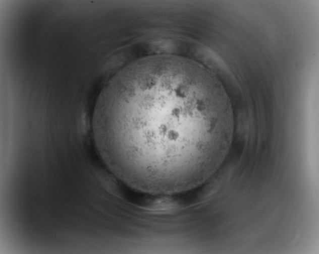 X0000090430173200707131208
