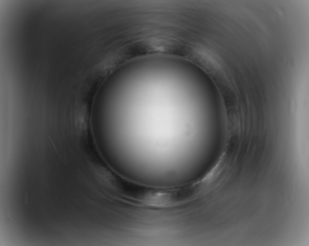 X0000090430174200707131208