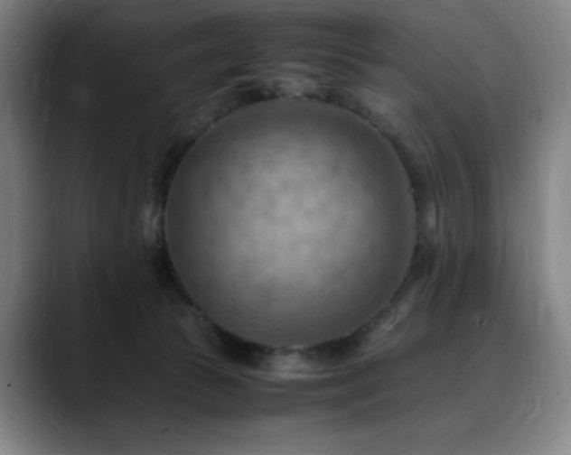 X0000090430177200707131208