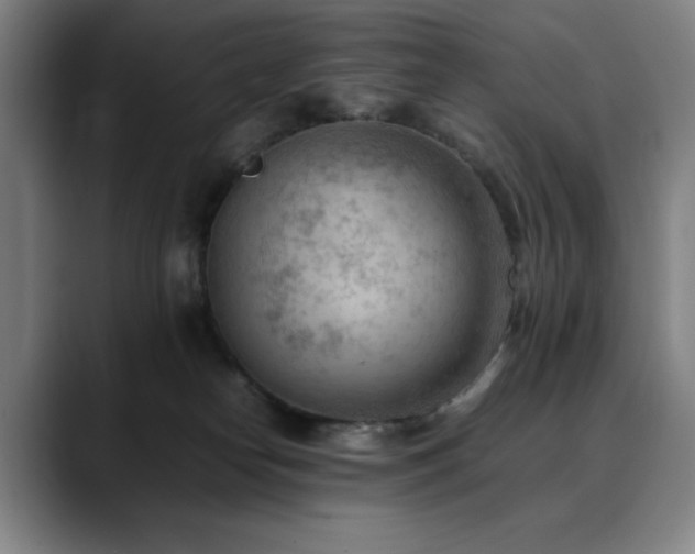 X0000090430182200707131208