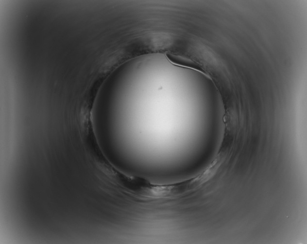 X0000090430184200707131208