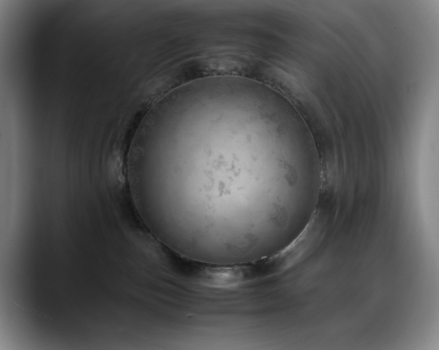 X0000090430187200707131208