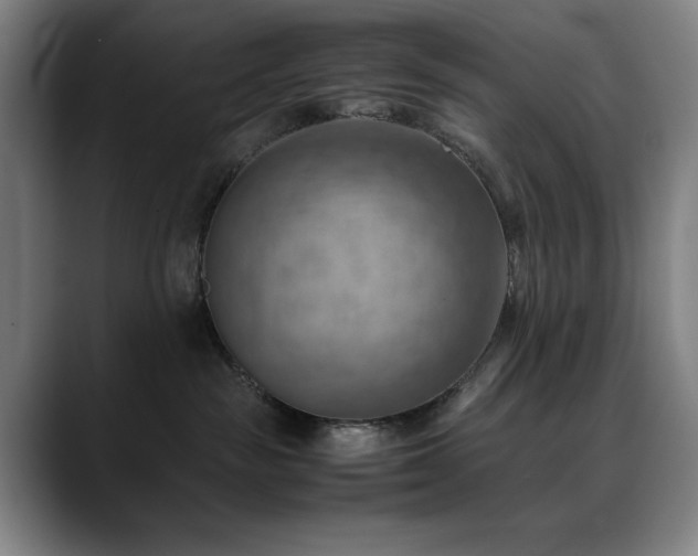 X0000090430189200707131208
