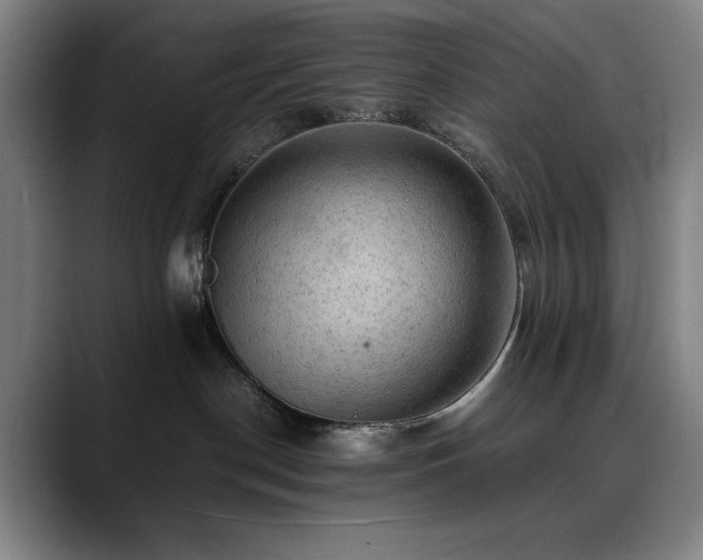 X0000090430190200707131208