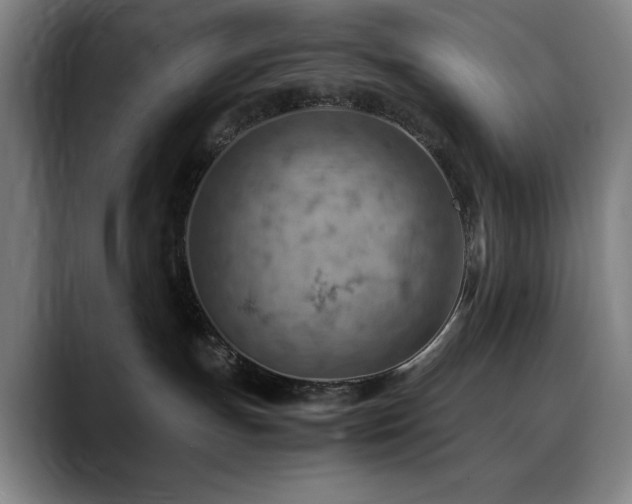 X0000090430191200707131208