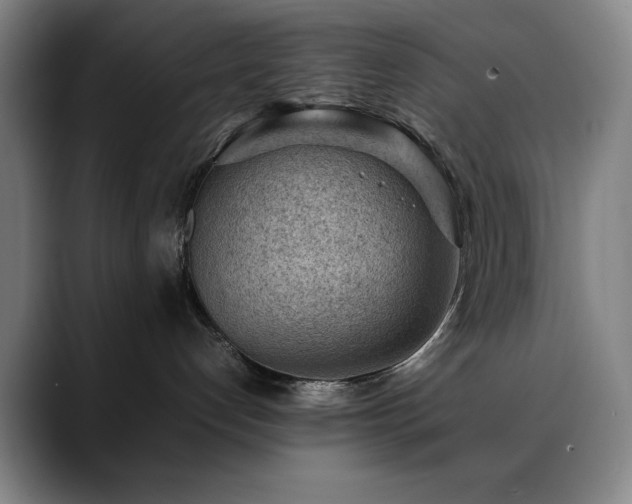 X0000090430192200707131208