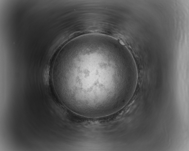 X0000090430194200707131207