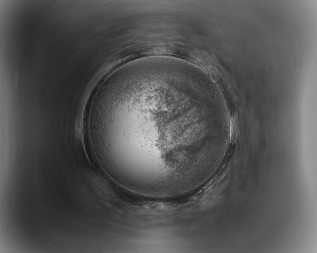 X0000090430195200707131207