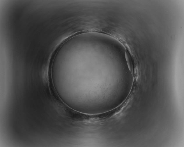 X0000090430196200707131207