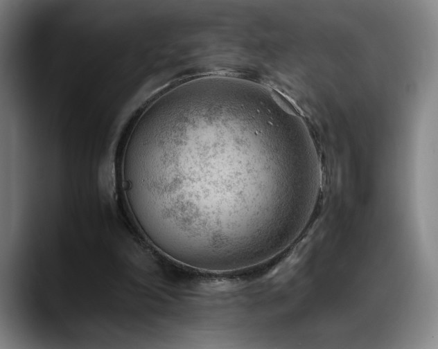 X0000090430198200707131207