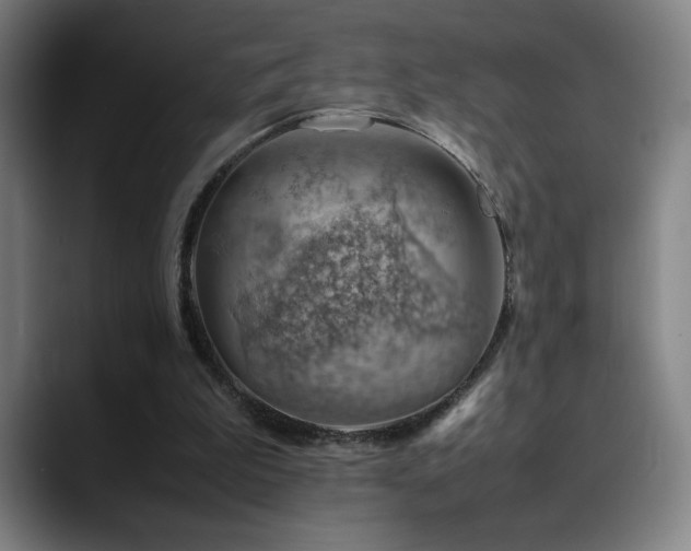 X0000090430199200707131207