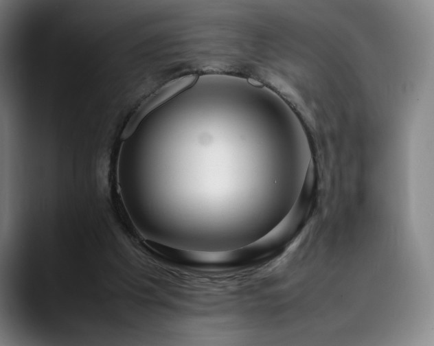 X0000090430201200707131207