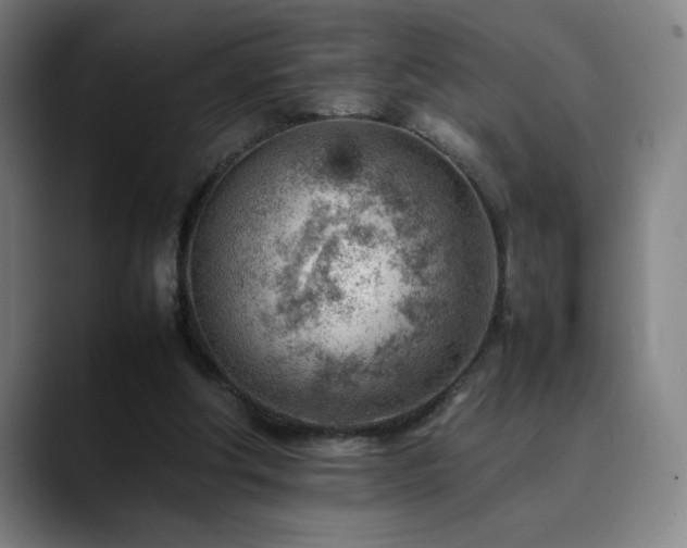 X0000090430202200707131207