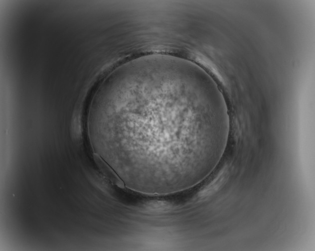 X0000090430203200707131207