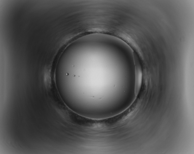 X0000090430204200707131207