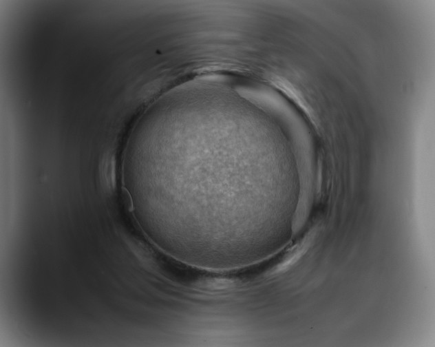 X0000090430205200707131207