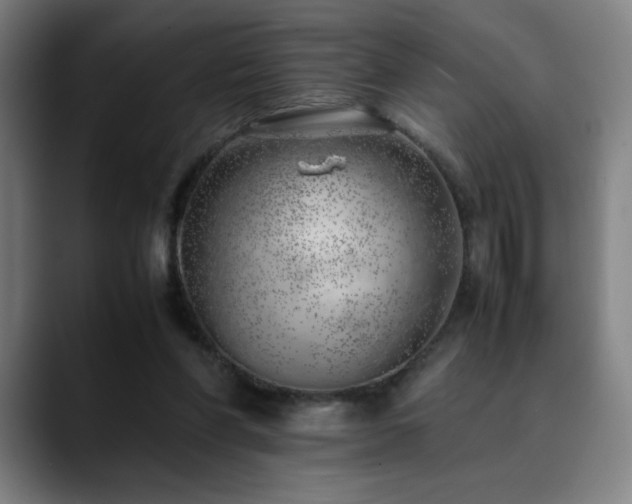 X0000090430206200707131207