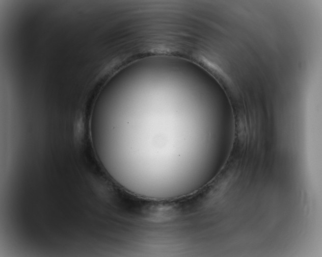 X0000090430208200707131207