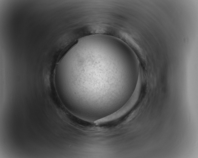 X0000090430209200707131207