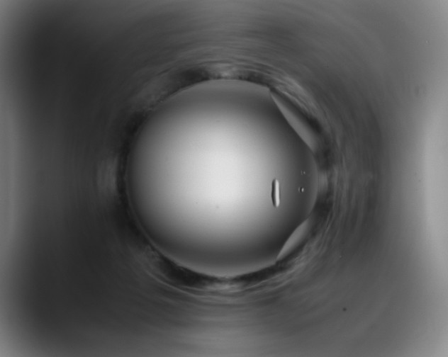 X0000090430217200707131207