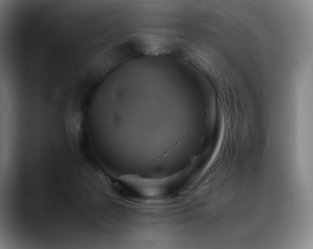 X0000090430219200707131207