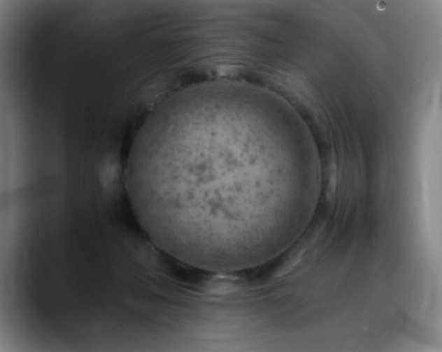 X0000090430222200707131207
