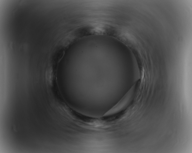 X0000090430223200707131207