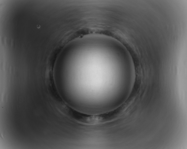 X0000090430225200707131207