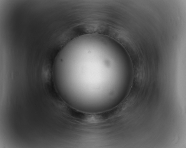X0000090430226200707131207