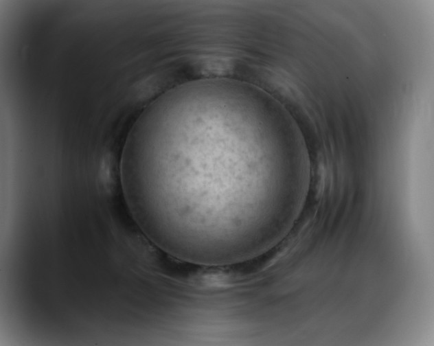 X0000090430228200707131207