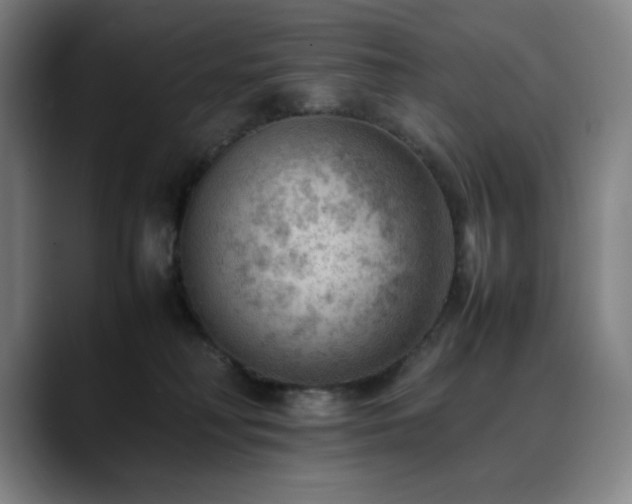 X0000090430230200707131207