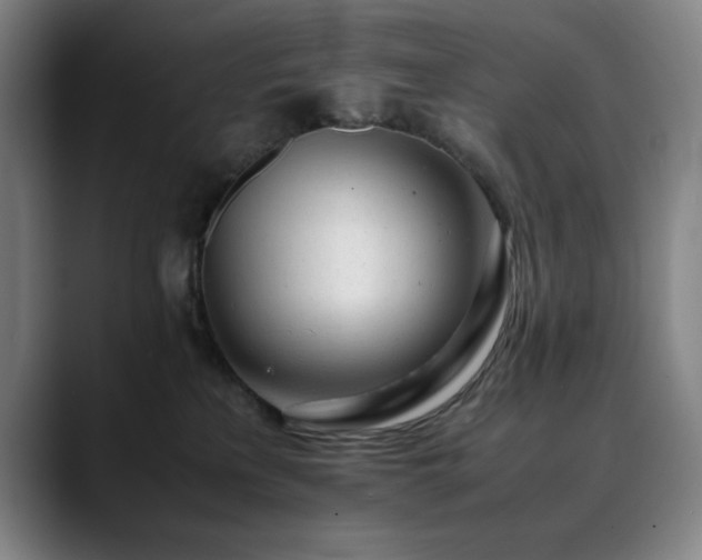 X0000090430233200707131207