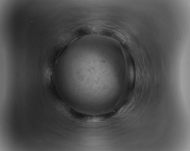 X0000090430235200707131207