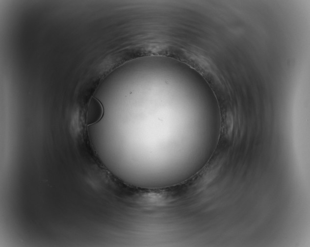 X0000090430236200707131207