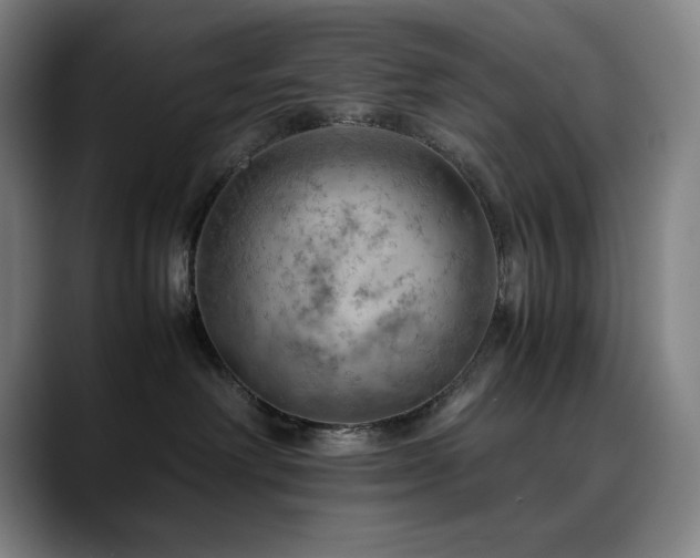 X0000090430238200707131207