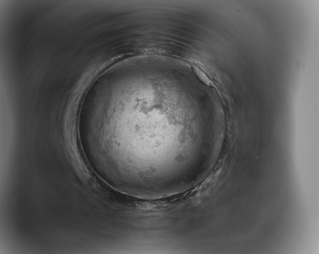 X0000090430241200707131206