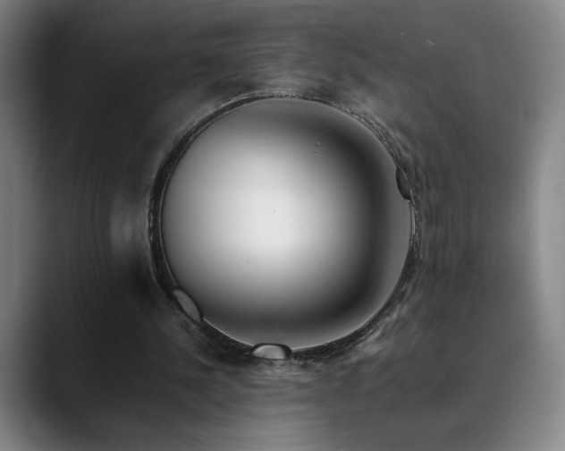 X0000090430244200707131206