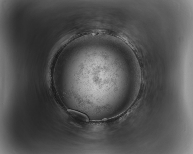 X0000090430245200707131206