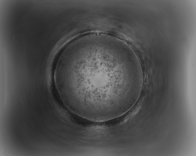 X0000090430247200707131206