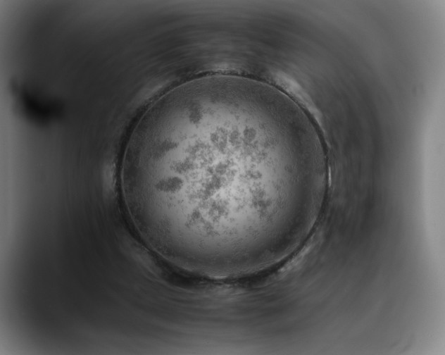 X0000090430249200707131206
