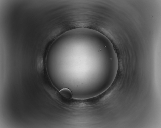 X0000090430254200707131206