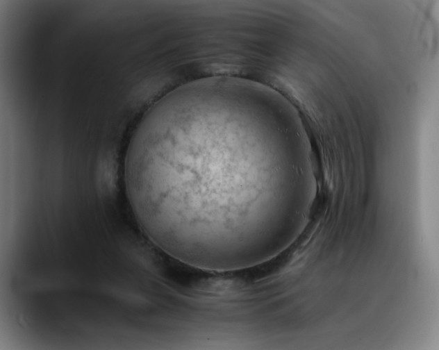 X0000090430255200707131206