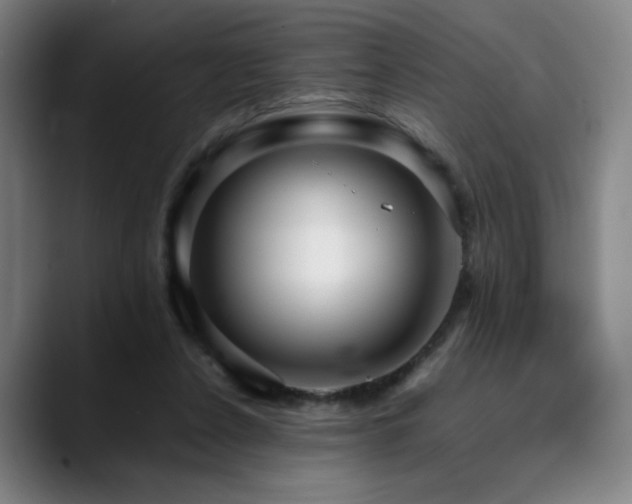 X0000090430256200707131206