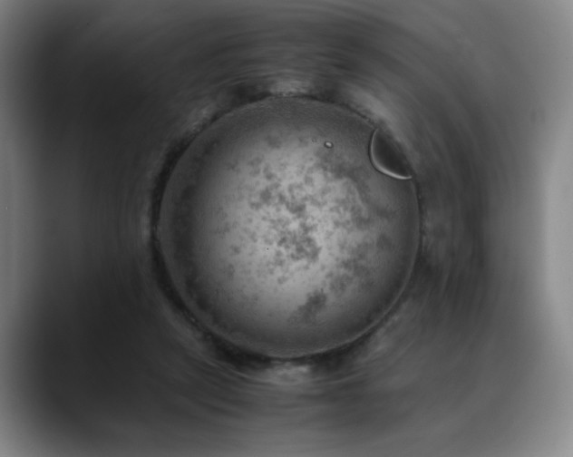 X0000090430257200707131206