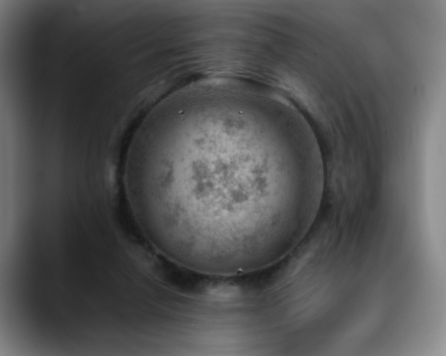 X0000090430258200707131206