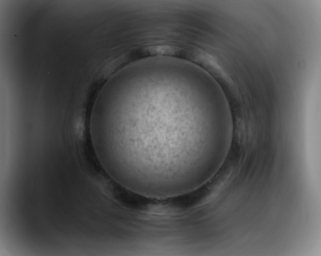 X0000090430259200707131206