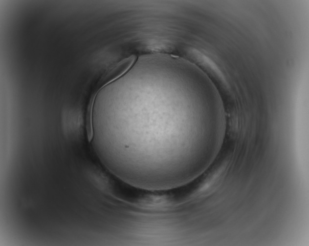 X0000090430260200707131206