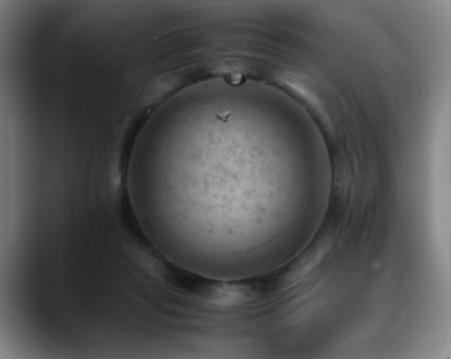 X0000090430261200707131206