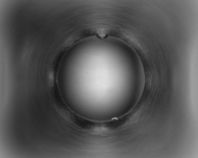 X0000090430262200707131206