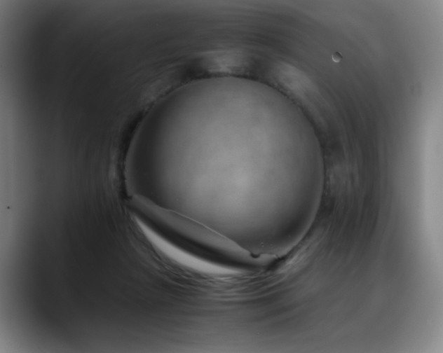 X0000090430265200707131206